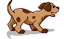 Astoria Dog Training - Queens