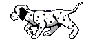 Bayside Dog Training - Queens