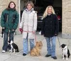 Anthony Jerone's School of Dog Training & Career Inc... Group Training