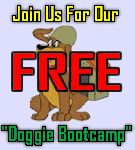 Free Doggie boot camp