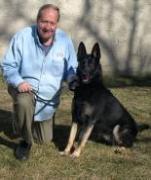 dog school, dog training school, dog career, become a dog trainer,certified dog trainer Queens