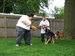 Protection Training ny - Queens