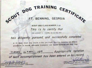 Scout Dog Training