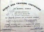 Scout-Dog-Training-Web-thumb-150x110