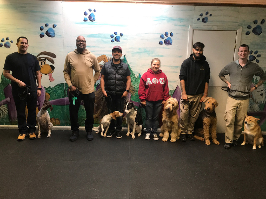 Anthony Jerone's School Of Dog Training & Career Inc.