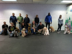Students with their dogs - Dog School NY